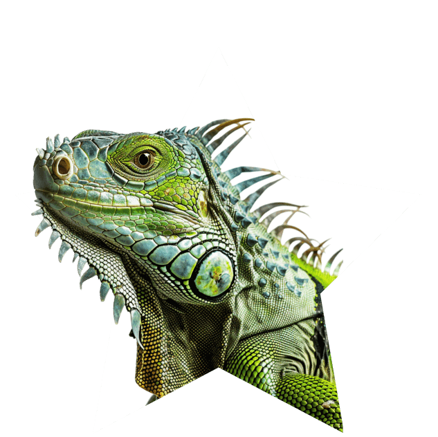 REPTILES